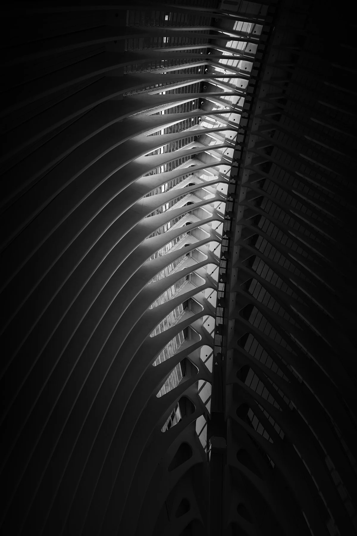 Caixa Forum | Valencia