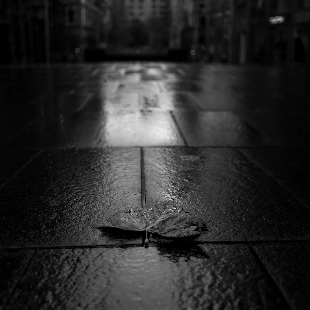 Martin Place | Sydney