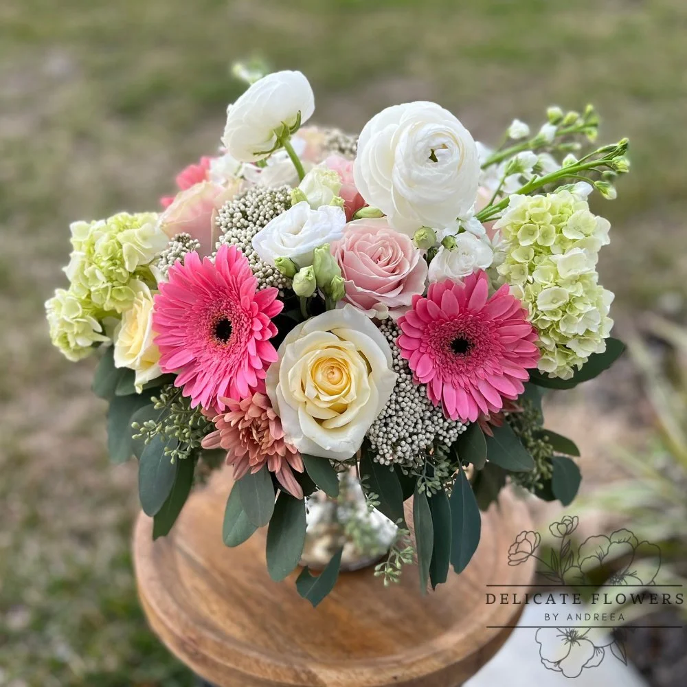 Blush Gerbera Serenade