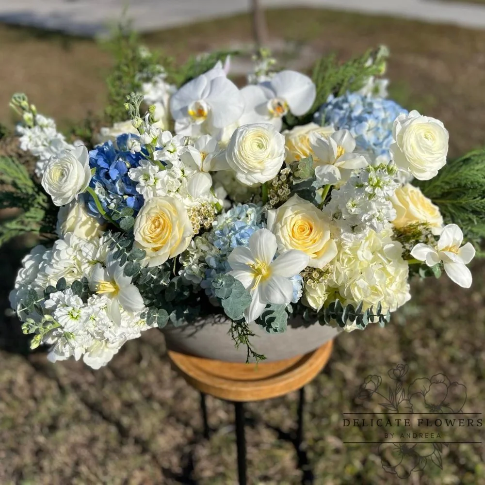 Ivory Sky Elegance