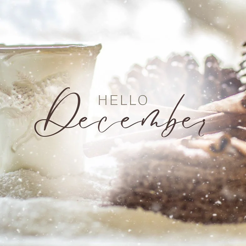 Hello DECEMBER!☃️❄️
I can’t not believe the year is almost over! I want to thank all my new and returning clients who have came and saw me this year! By choosing me to get serviced and buying product from me instead of online distributers supp