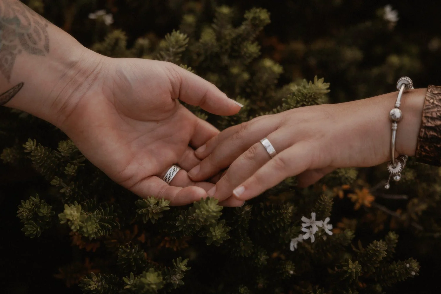 Two hands gently holding each other, wearing wedding rings and bracelets, surrounded by greenery during their adventure elopement wedding by Wander & Be.