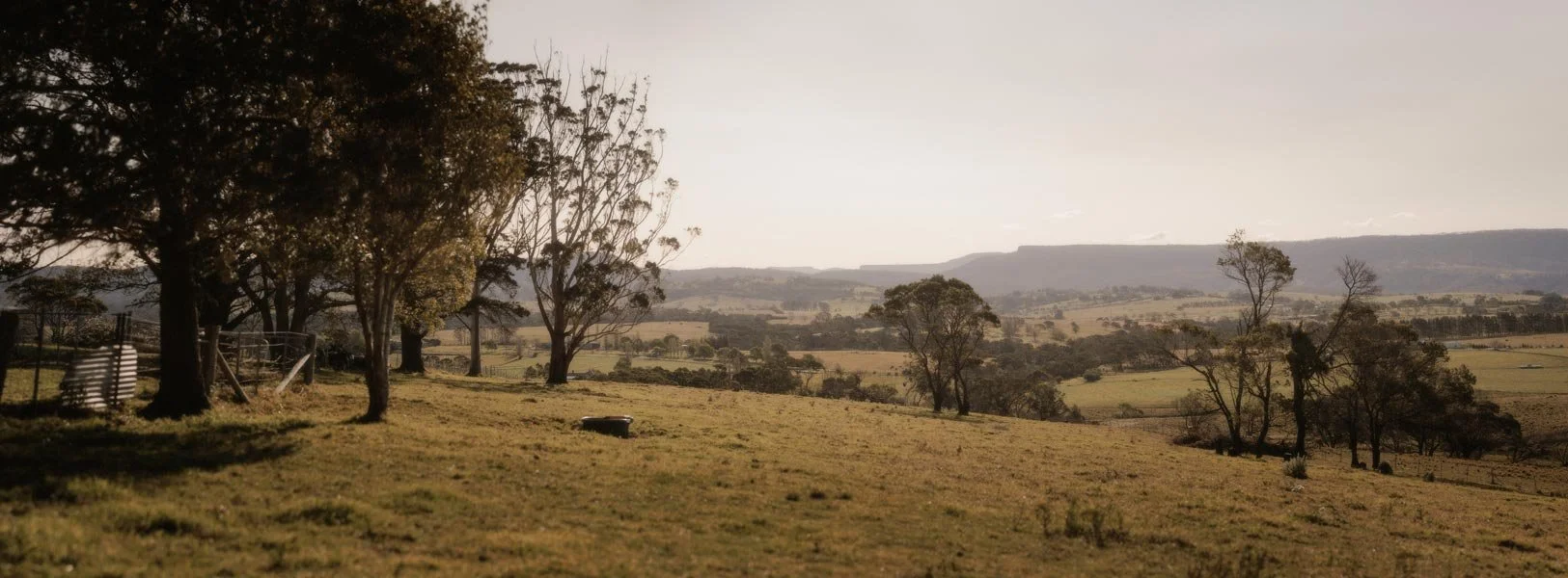 Open grassy South Coast NSW landscape with scattered trees, distant hills, and a partly cloudy sky during daytime.