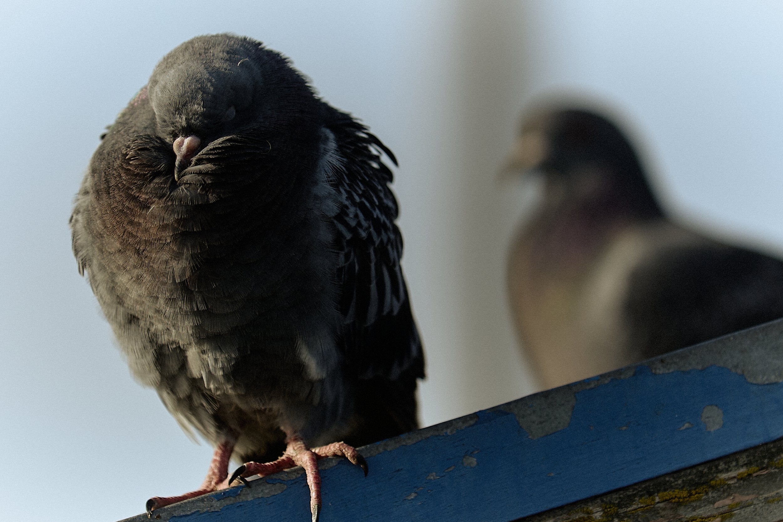 Some are loners and don't want to be bothered