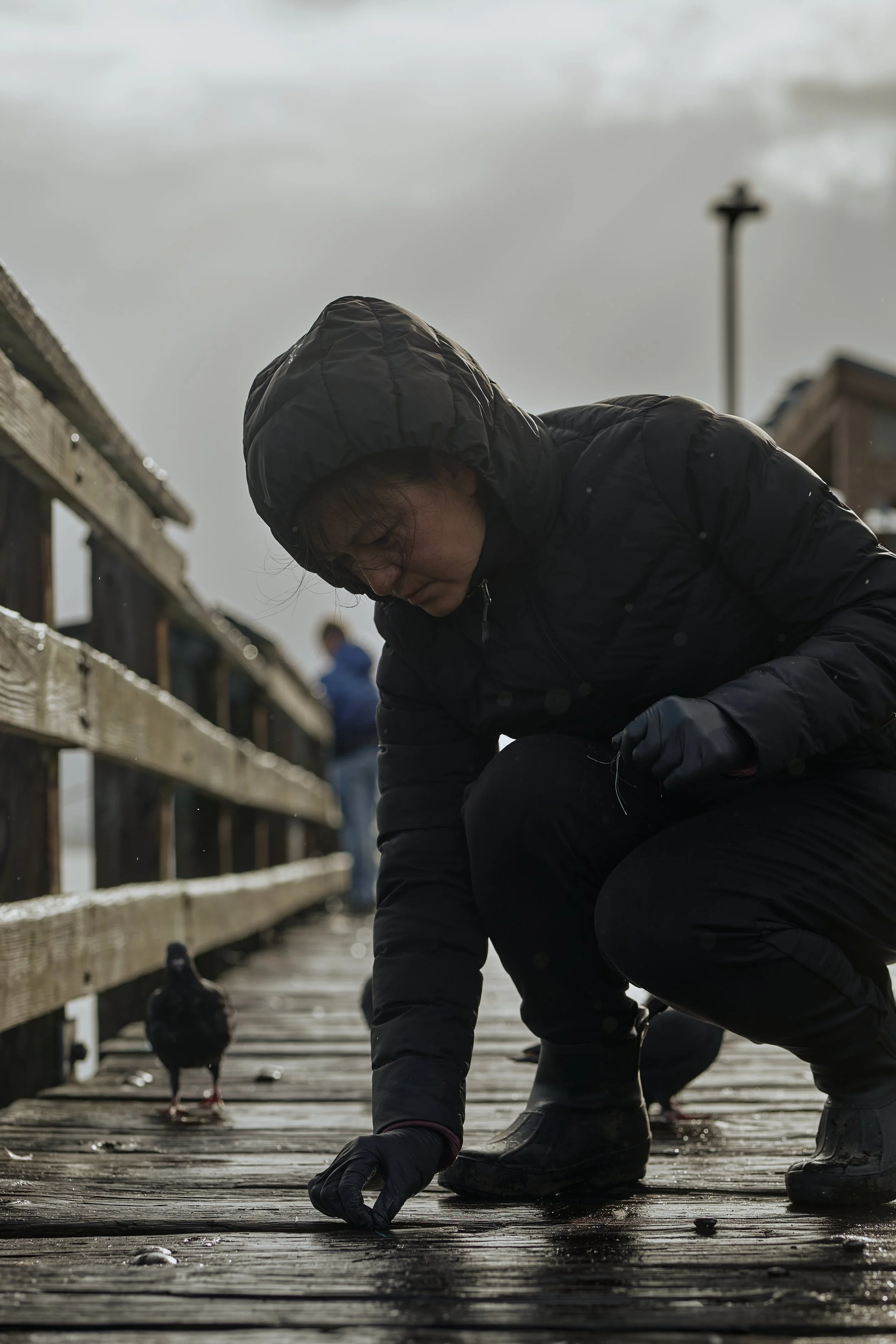 Here you can see her with string in her hand, removing it and possibly rescuing a pigeon in the process