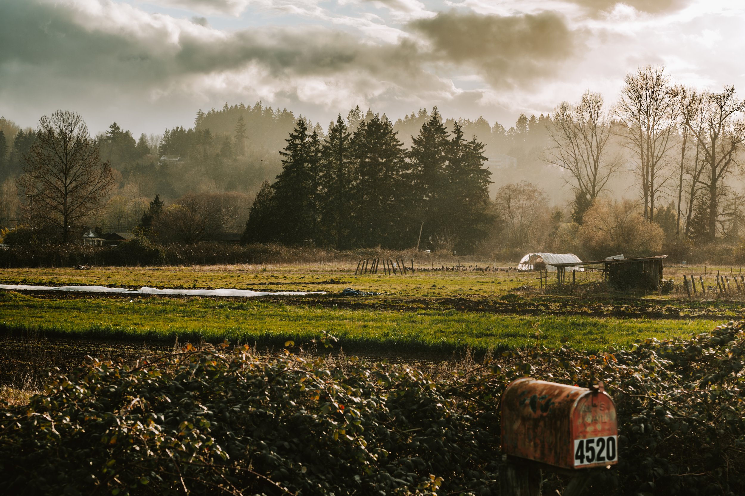 The Farm