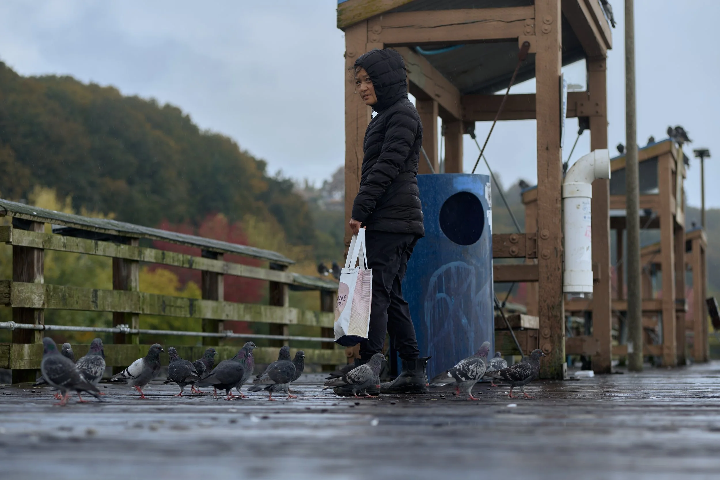 When Jen arrived, the pigeons did not respond to her like they did to other folks who fed them.  Because of her presence they were more friendly even with me. So, I had to ask her why that was the case. This is what she told me...