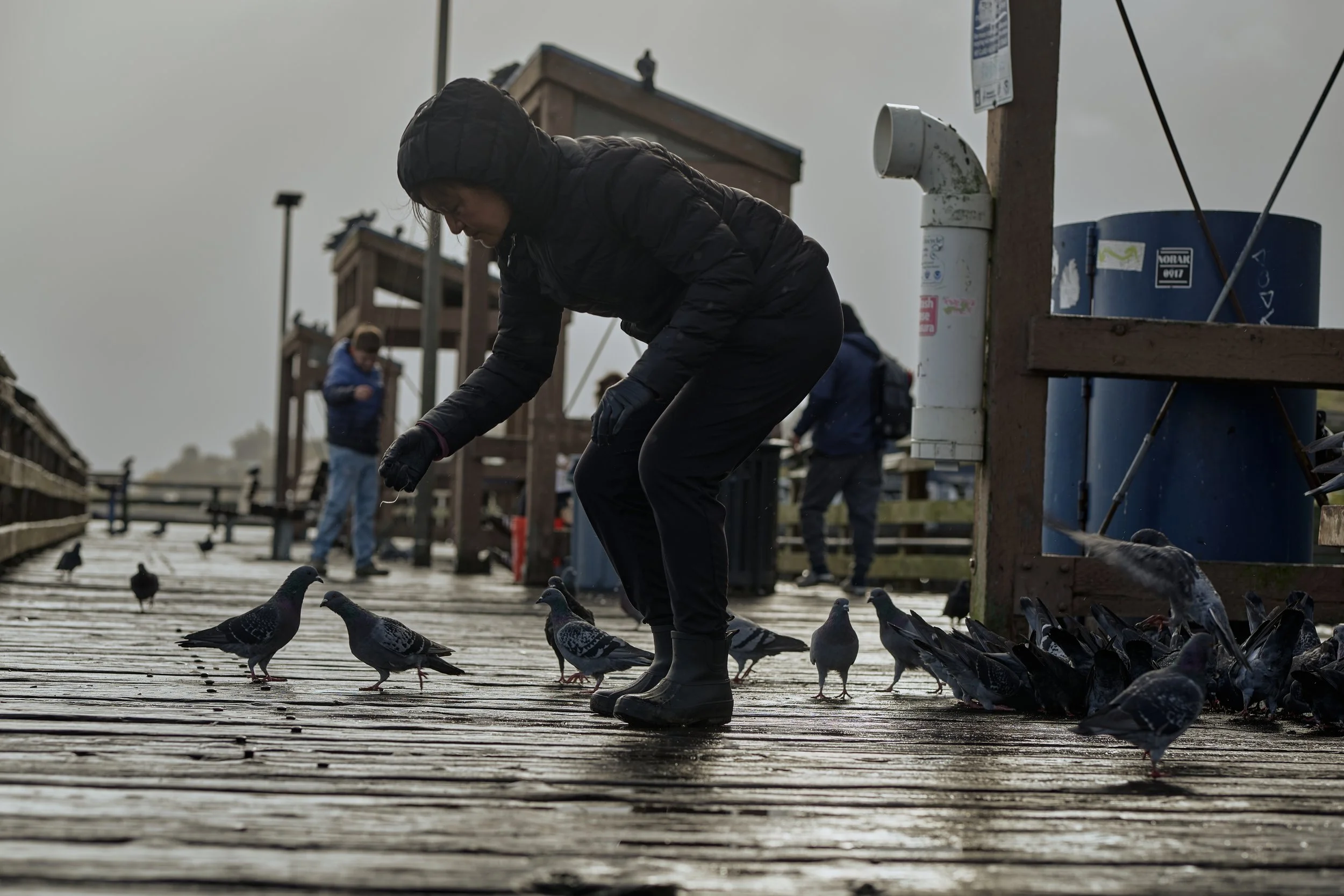 She walked the entire pier, determined to remove certain hazards made of different kinds of string and twine. 