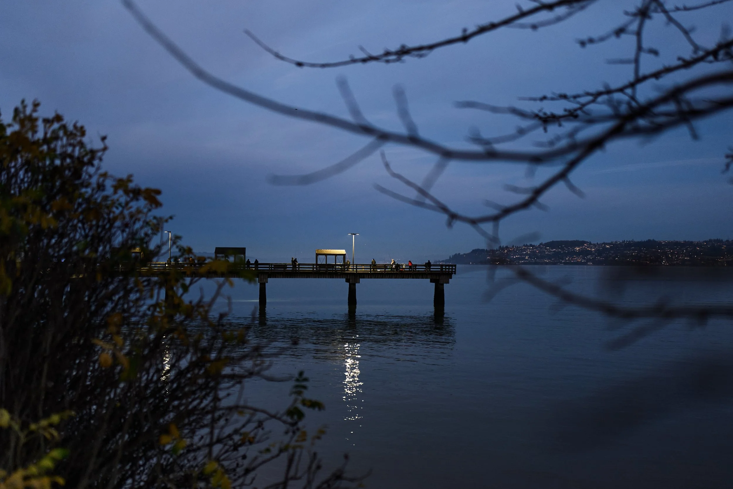 Fishing is like surfing or photography. You do it when it's time, no matter how early or late. No matter how foggy or dreary or rainy. I was there in all the conditions. 