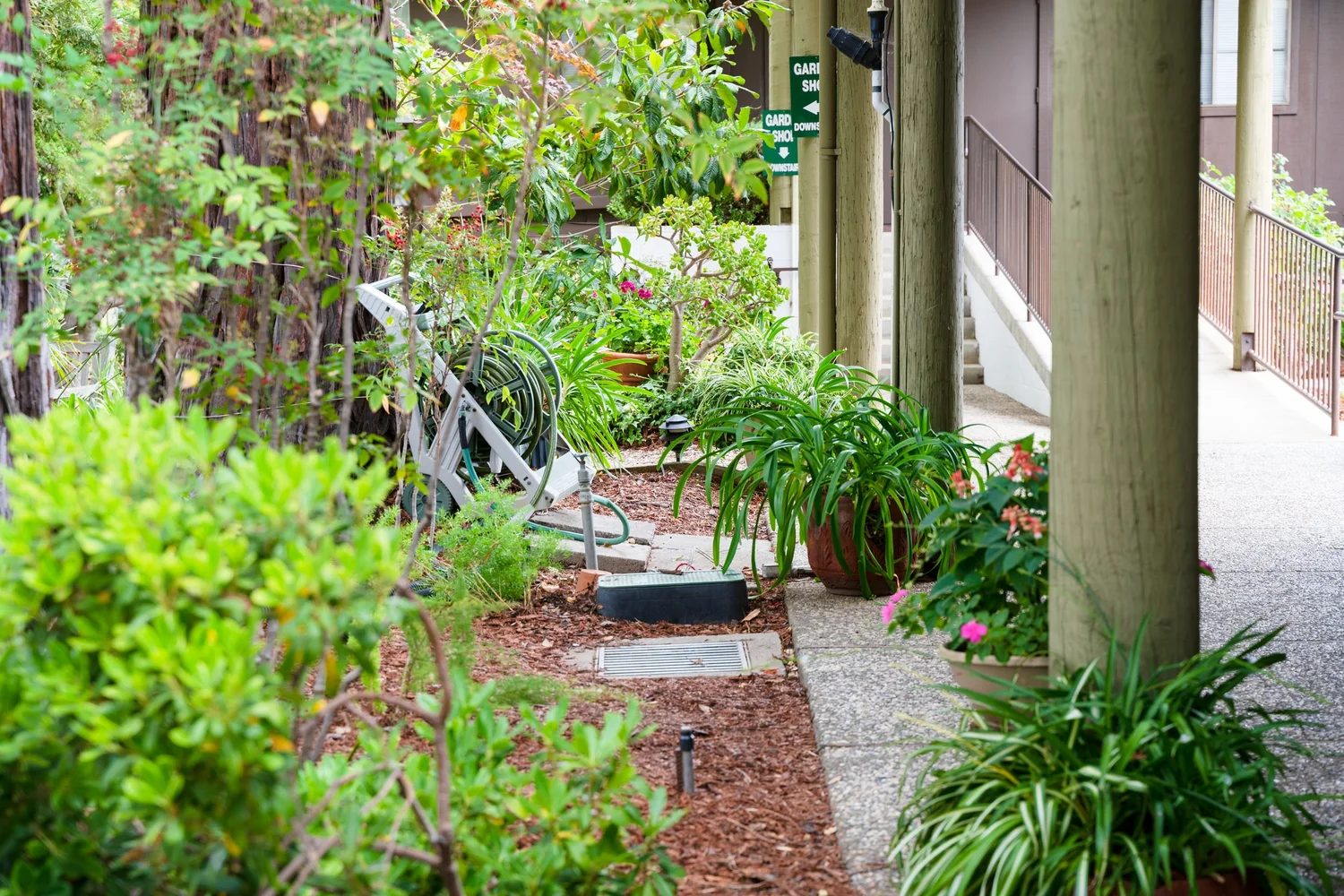 Contact Us — San Mateo Garden Center