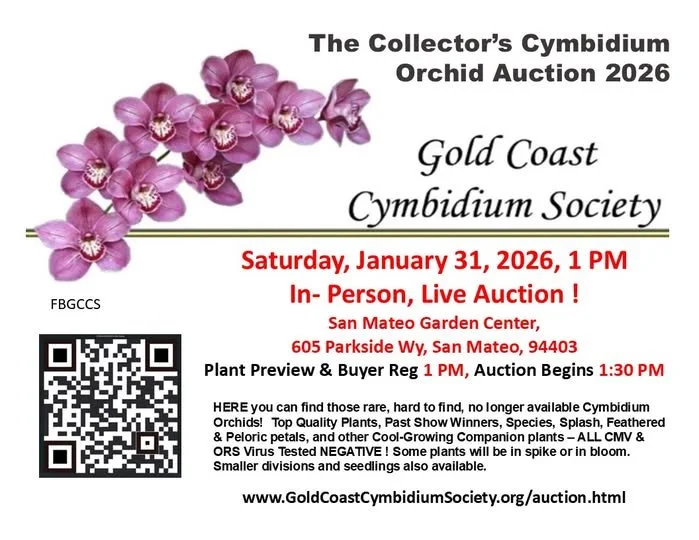 The Collector's Cymbidium Orchid Auction 2026