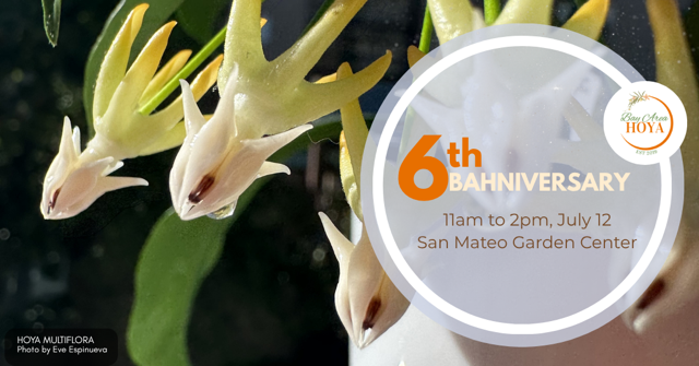 6th BAHniversary — Bay Area Hoya Community Celebration