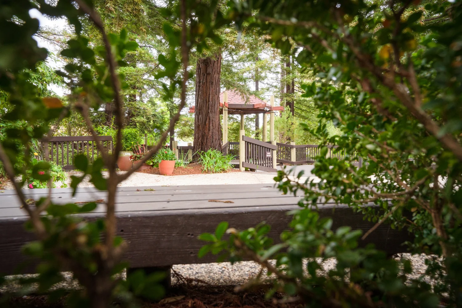Book an Event — San Mateo Garden Center