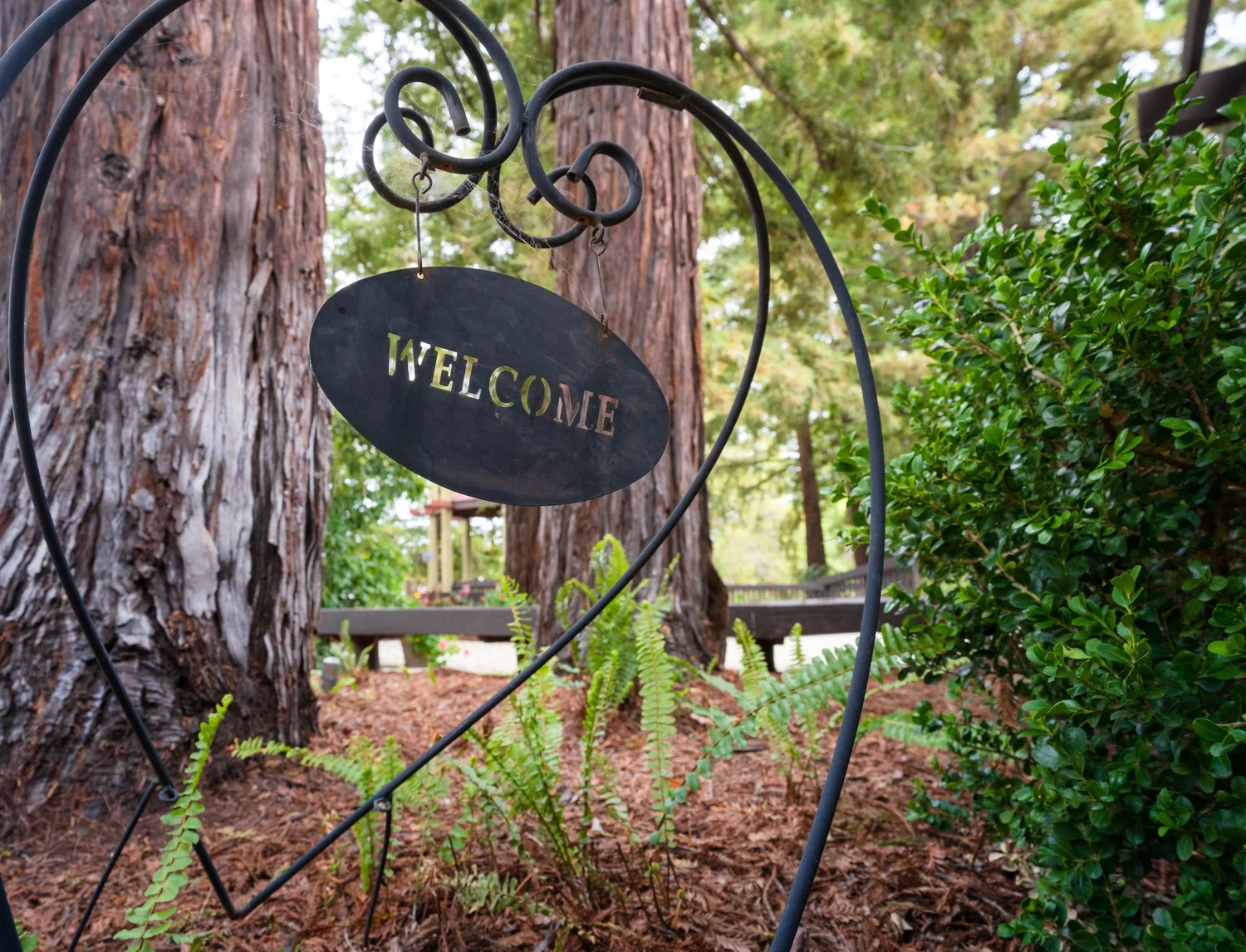 San Mateo Garden Center