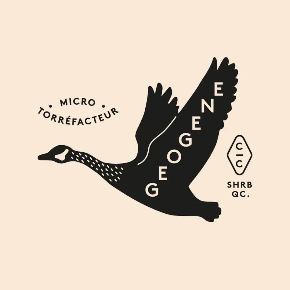 Géogène Micro Torréfacteur