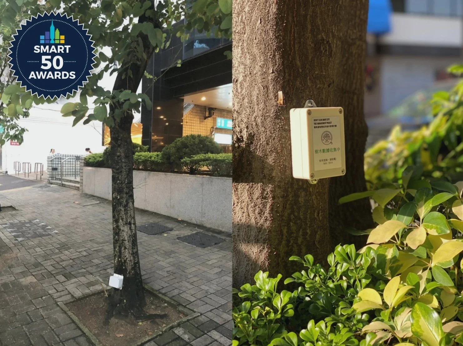 螢幕擷取畫面 2025-08-25 083006.jpg