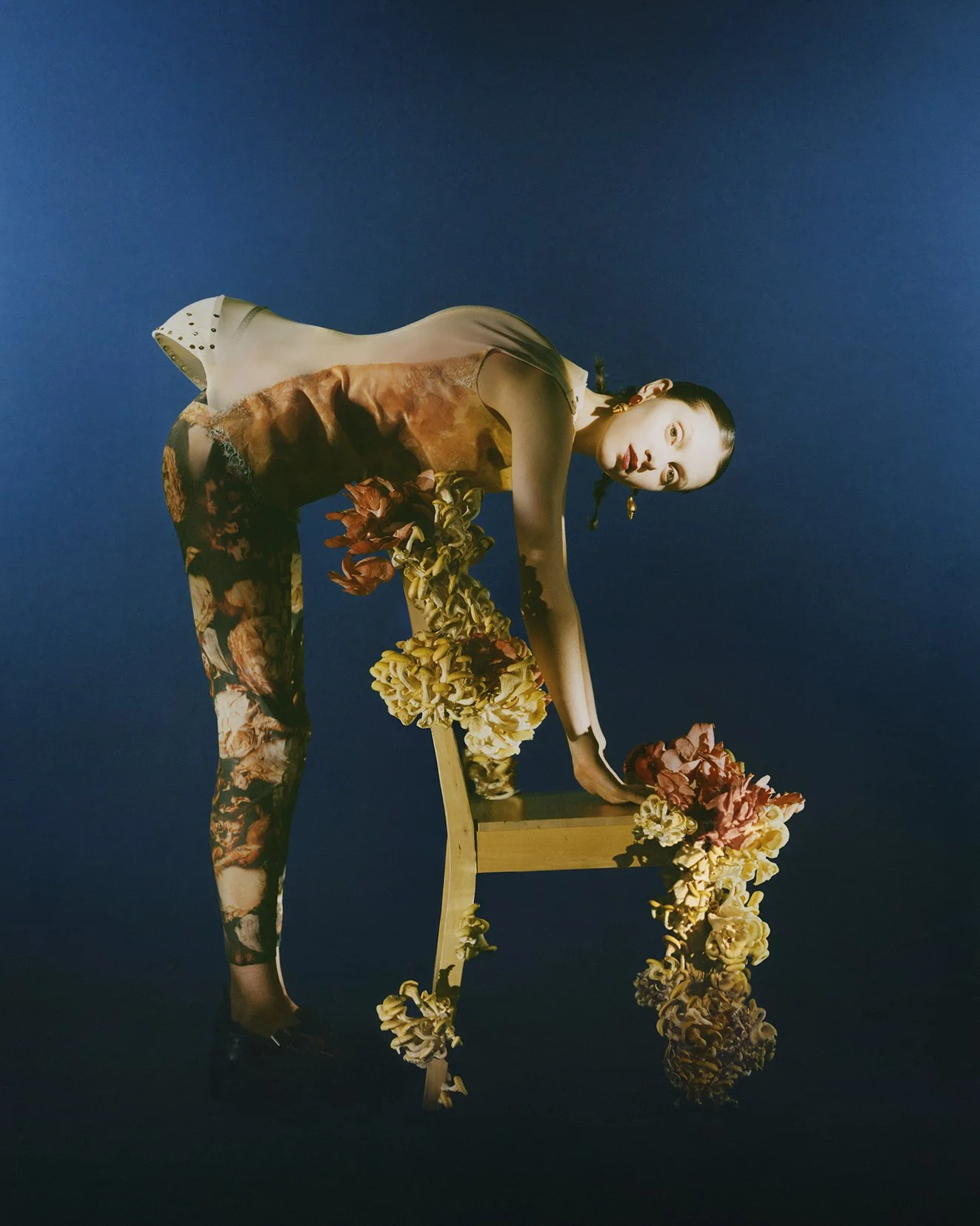 HY_Fungi04.jpg