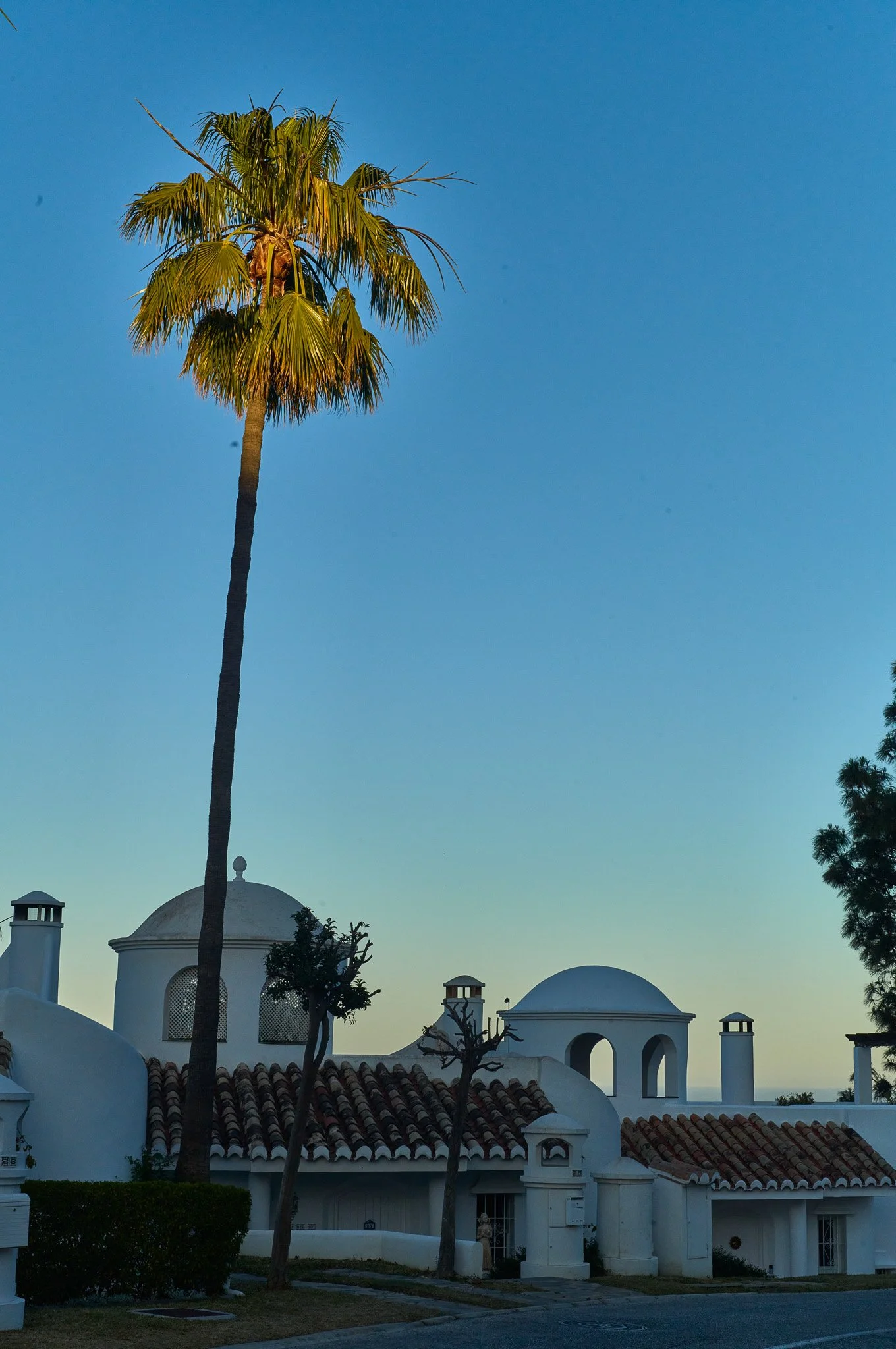 Plame & hvide huse Marbella 2024.jpg