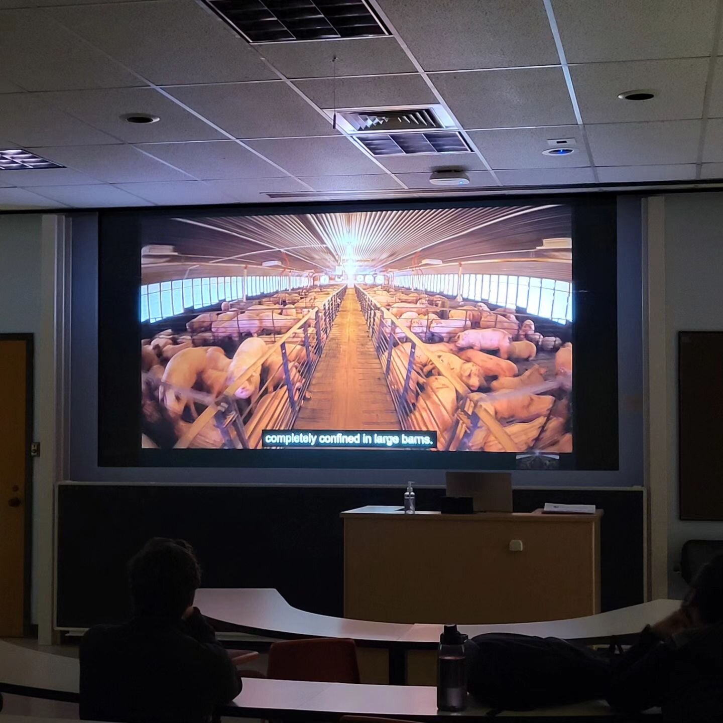 Movie Screening: The Smell of Money

Today we learned about how animal industries harm people, especially people of color.

If you're interested in going vegan, we're here to help! Join ASP at UT!