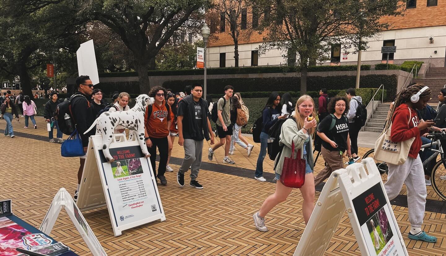 We had an amazing &amp; excellent week of events!

Regardless of what demonstration we conducted, students are always bound to be open-minded about veganism &amp; animal rights.

This is what a lot of major universities are sorely lacking: vegan camp