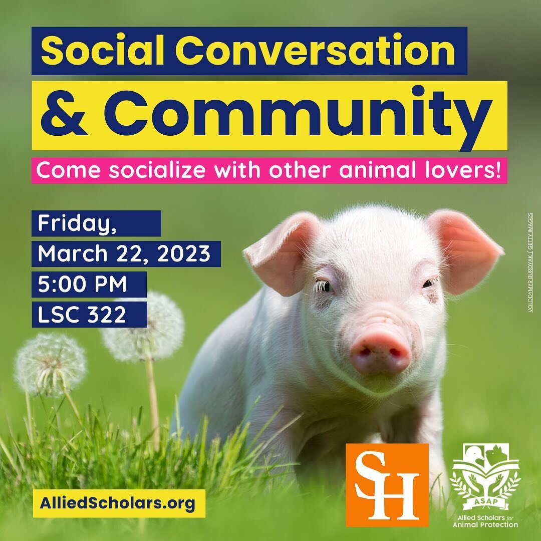 Come hang out with some fellow animal lovers! 
There will be awesome games!
#shsu #samhoustonstateuniversity #animallovers #animalprotection