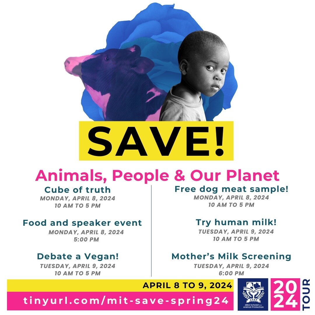 We're SAVING animals, environment, and people this week at MIT!

tinyurl.com/mit-save-spring24

Thanks to @elwoodsorganicdog for the organic dog meat, to @joey_carbstrong for the HuMilk, and to @anonymousforthevoiceless for their revolutionary Cubes.