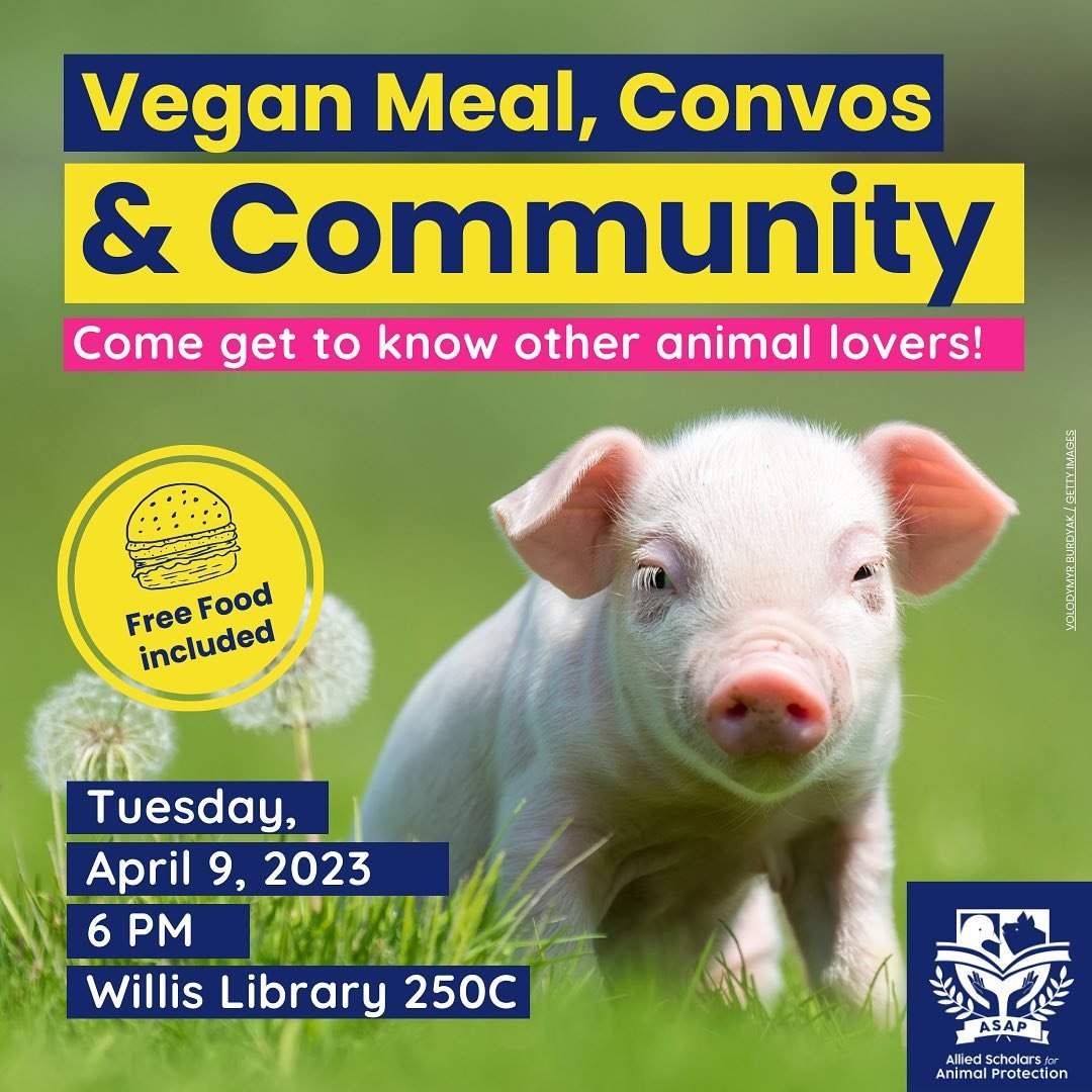 Hey everyone, we&rsquo;re doing a vegan social at the Willis library room 250C tonight at 6pm. There&rsquo;ll be free food most likely vegan pizza - be sure to invite your friends.
#unt #vegan #animalrights