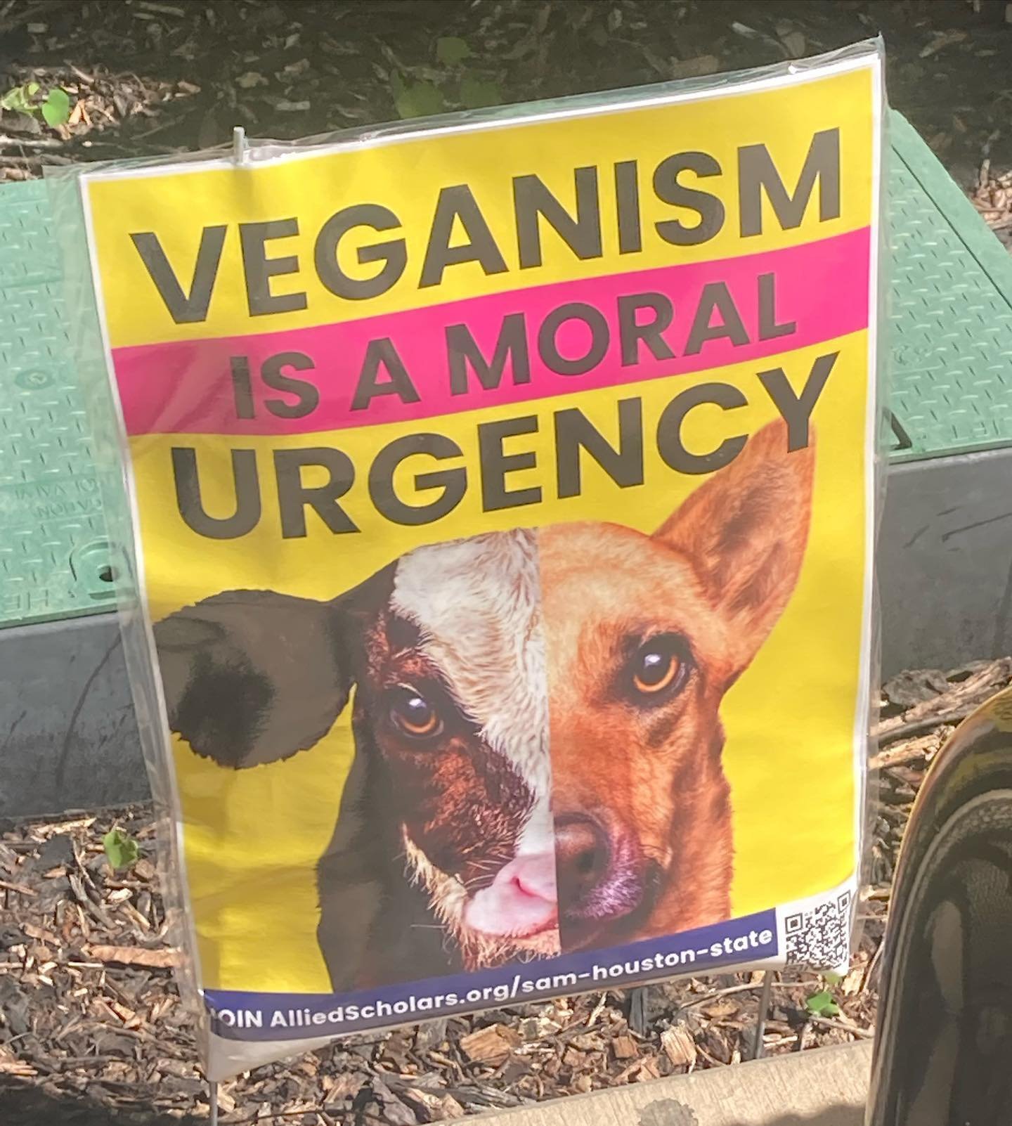 Veganism IS a moral urgency! 
Join our student organization here at Sam Houston!
And tell your friends!
#vegan #morals #ethics #shsu #samhoustonstateuniversity #animalprotection