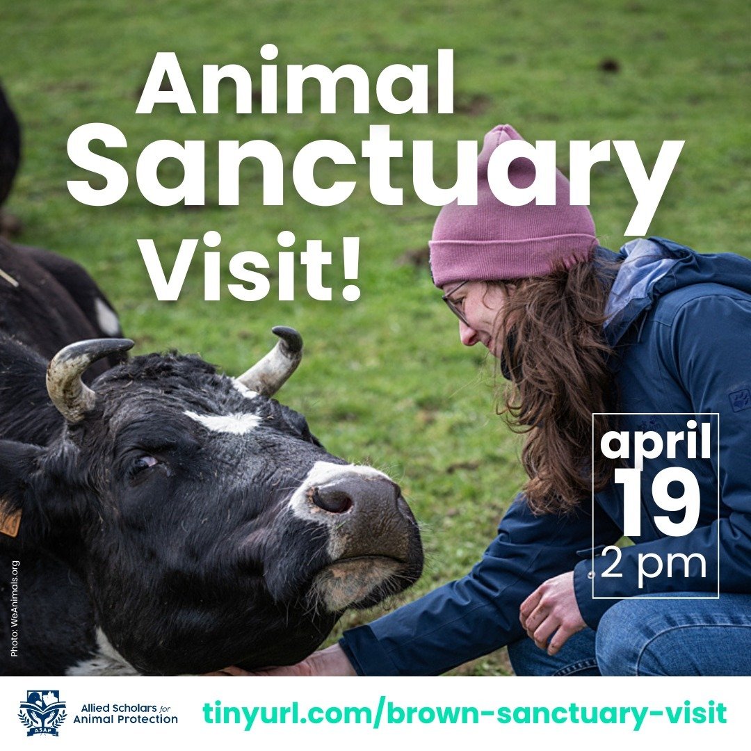 We're visiting an animal sanctuary this Friday! Spots are VERY limited.