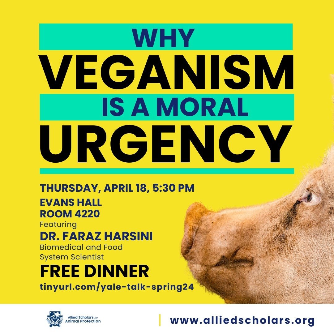 Why is veganism a moral urgency? What can YOU do to help animals?

Please join us this evening to find out from @dr_faraz_harsini!

#vegan #animal #animalrights