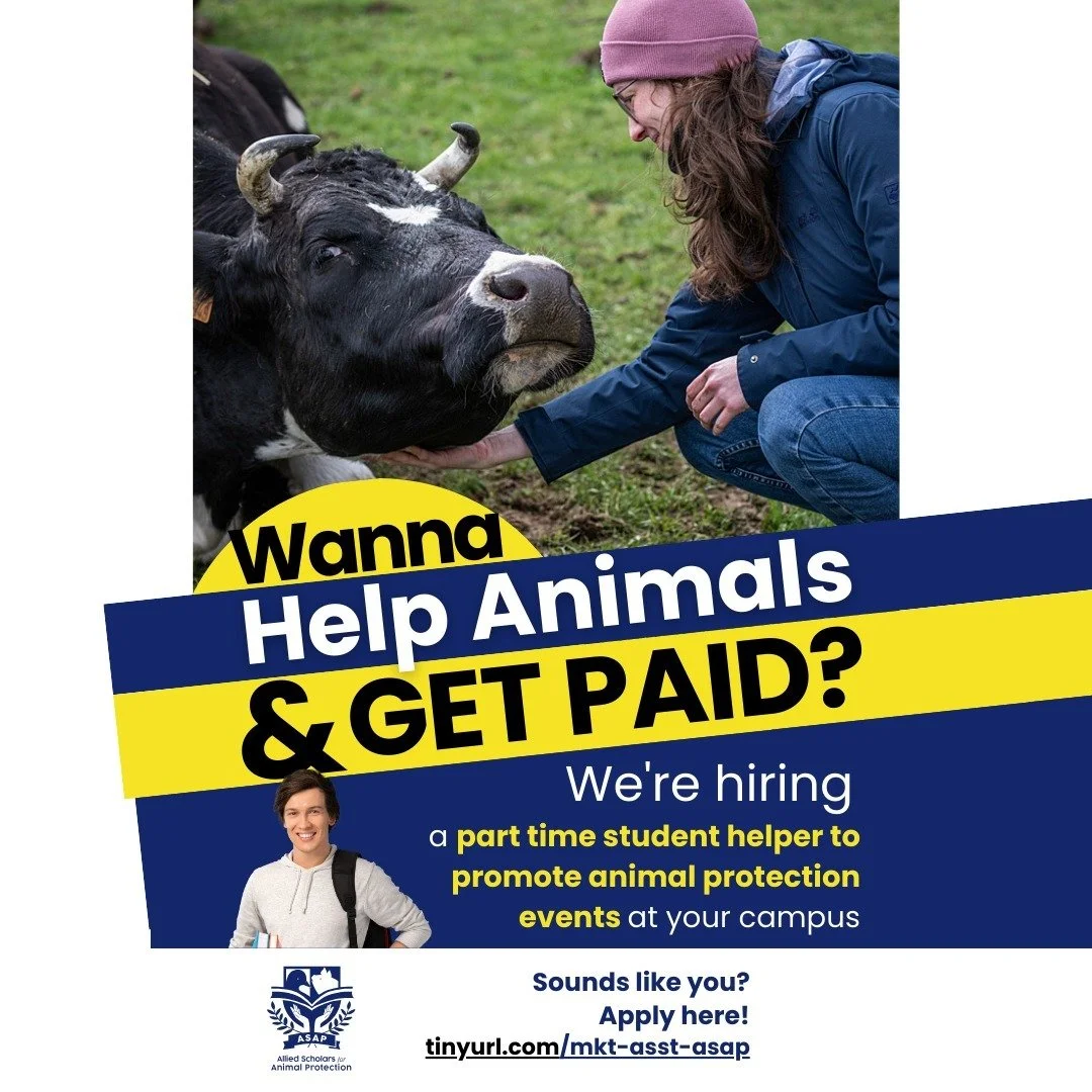 Wanna help animals & get paid?
We're hiring for a part time advertising job at Yale!
#vegan #animal #fun