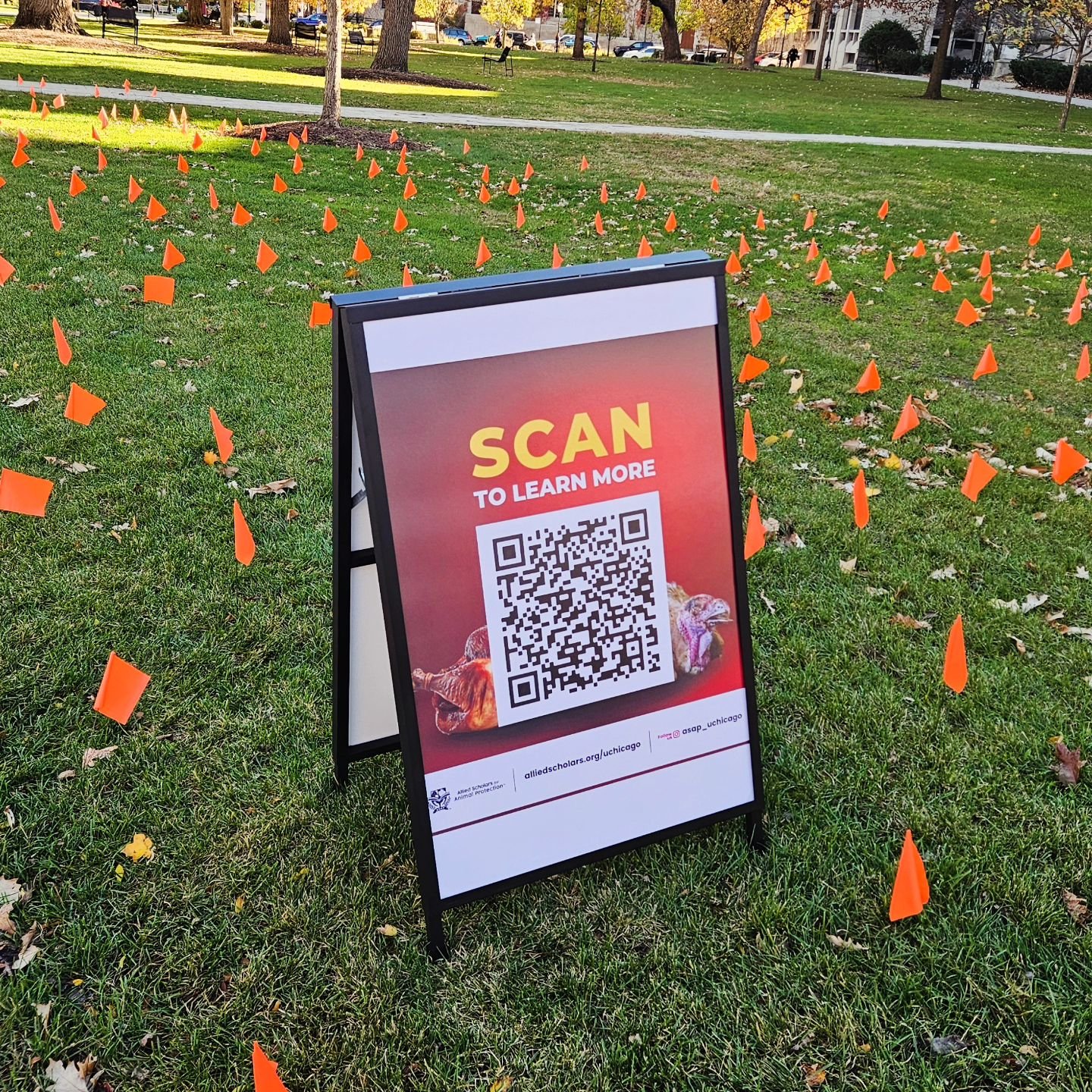 This weekend students put up 460 orange flags: one for every million turkeys killed for Thanksgiving. 

Life for a farmed turkey begins with confusion and crowding amongst thousands of other chicks, none of whom will ever meet their mothers or experi