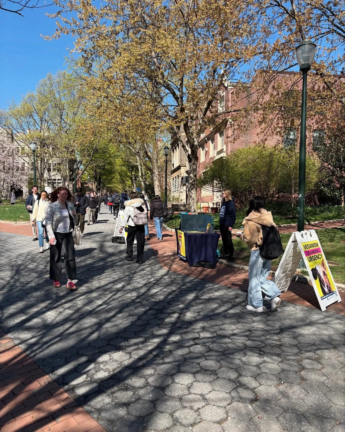 Veganism is a Moral Urgency.
Stop by our table to learn about animal exploitation and how YOU can fight it by going vegan!