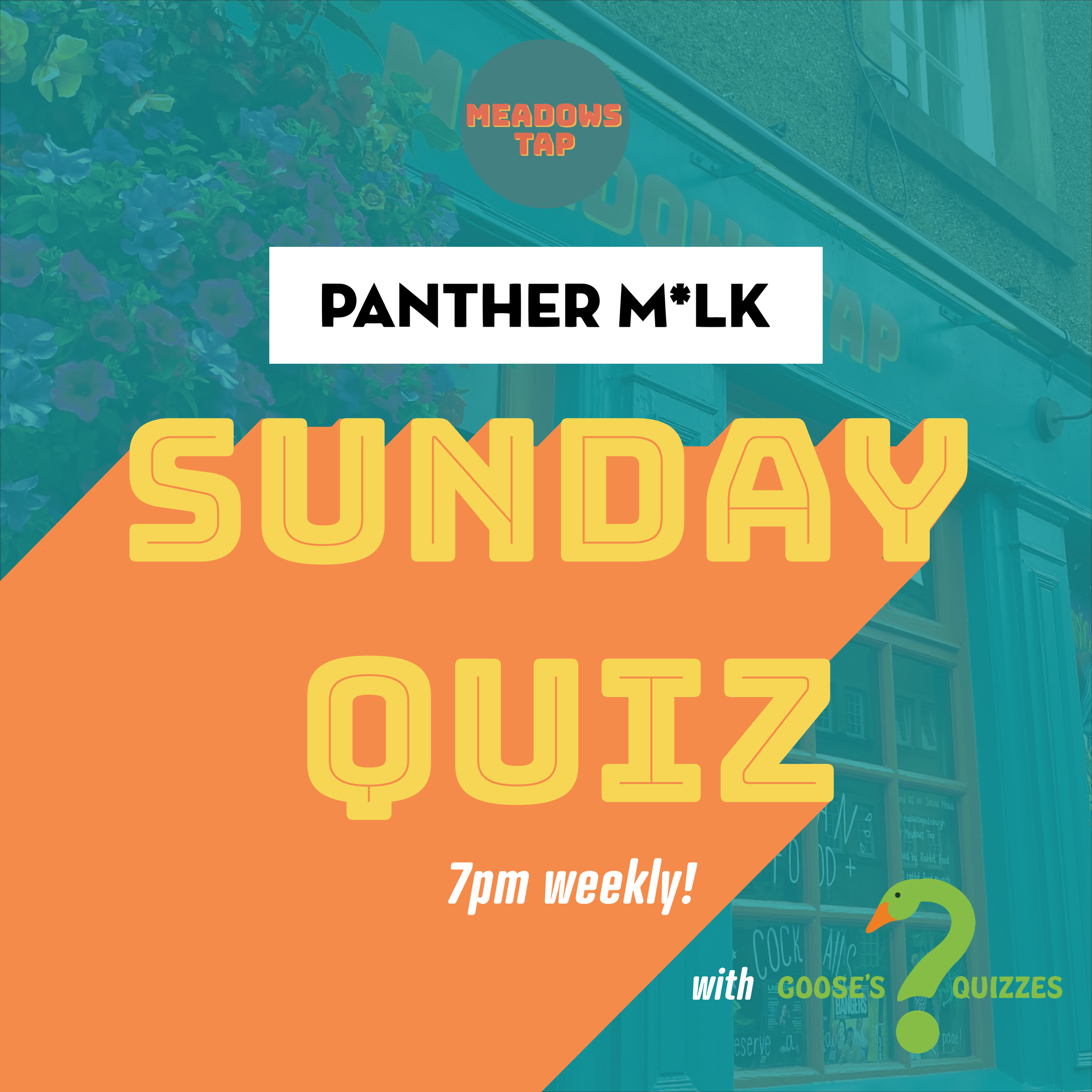 panther quiz-02.png