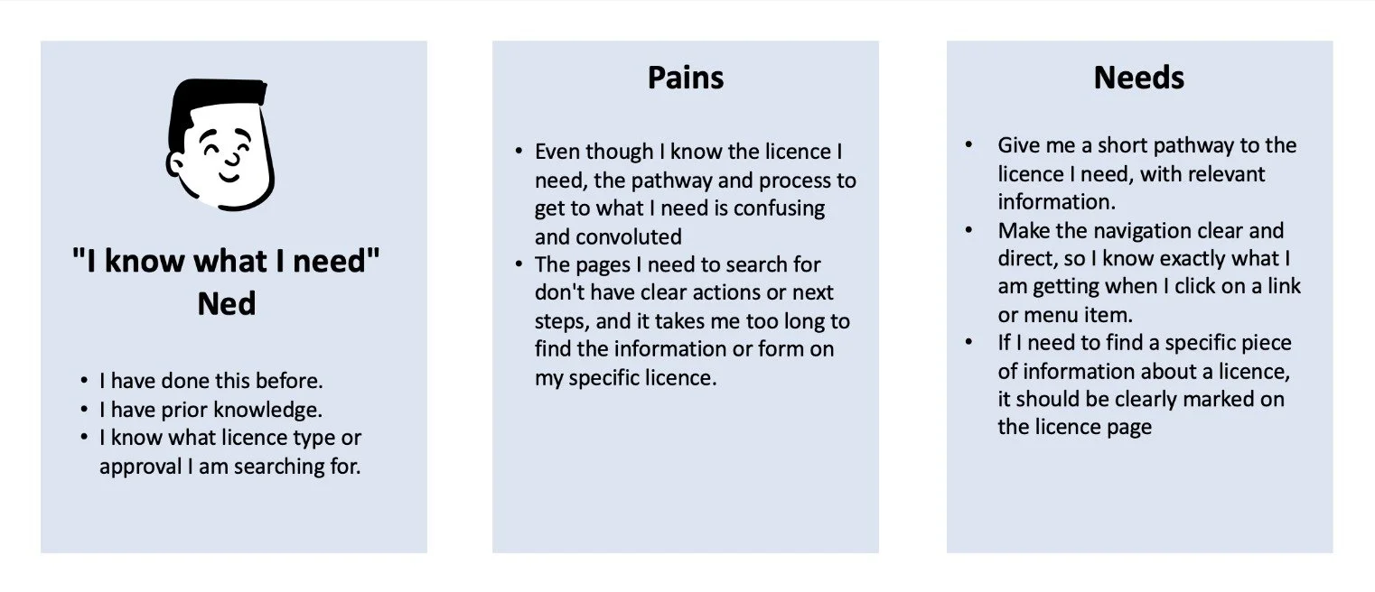 Persona 1: Know what I need Ned