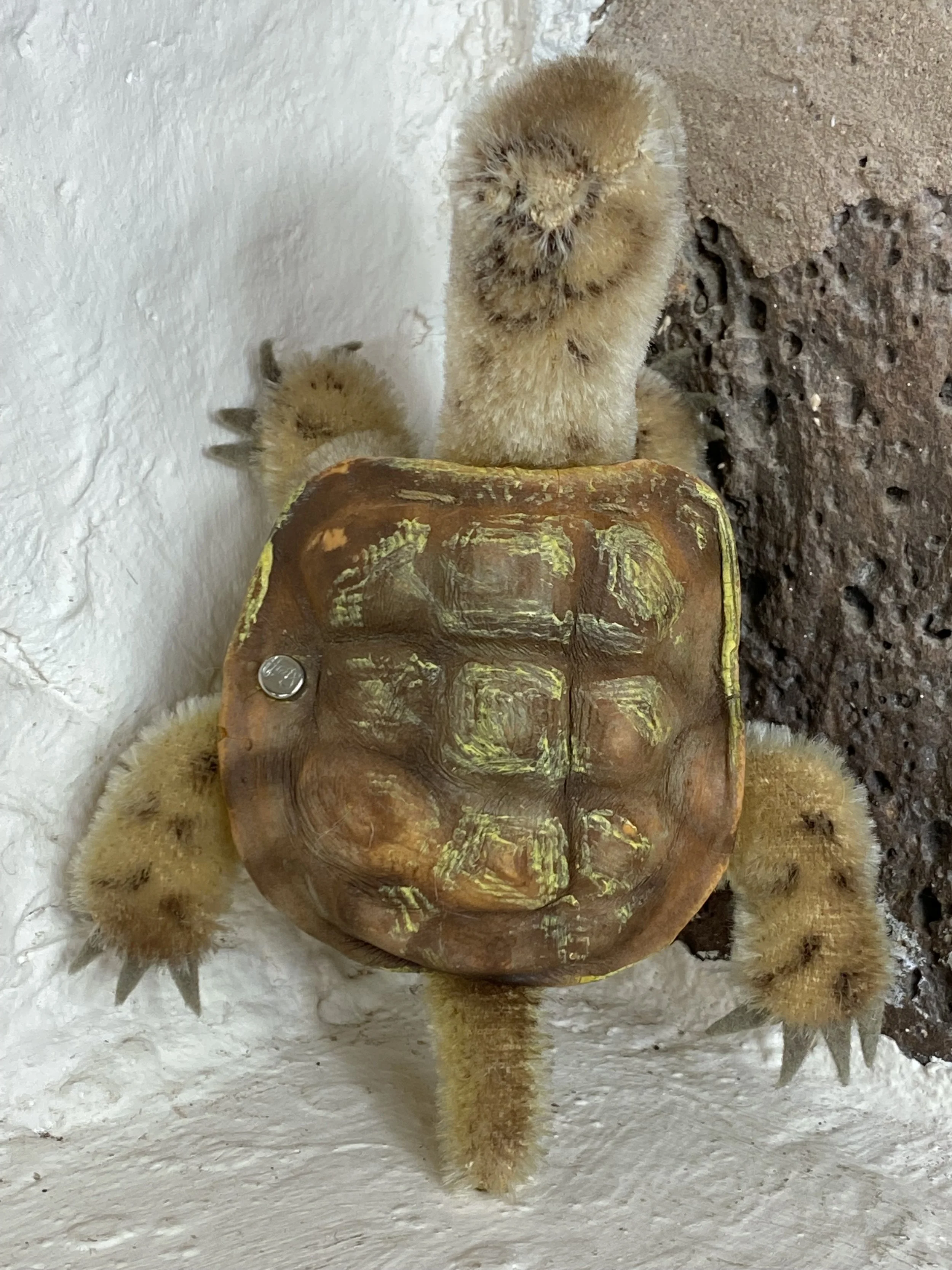 Vintage Steiff Turtle — Samplers, Treen & Everything In-Between
