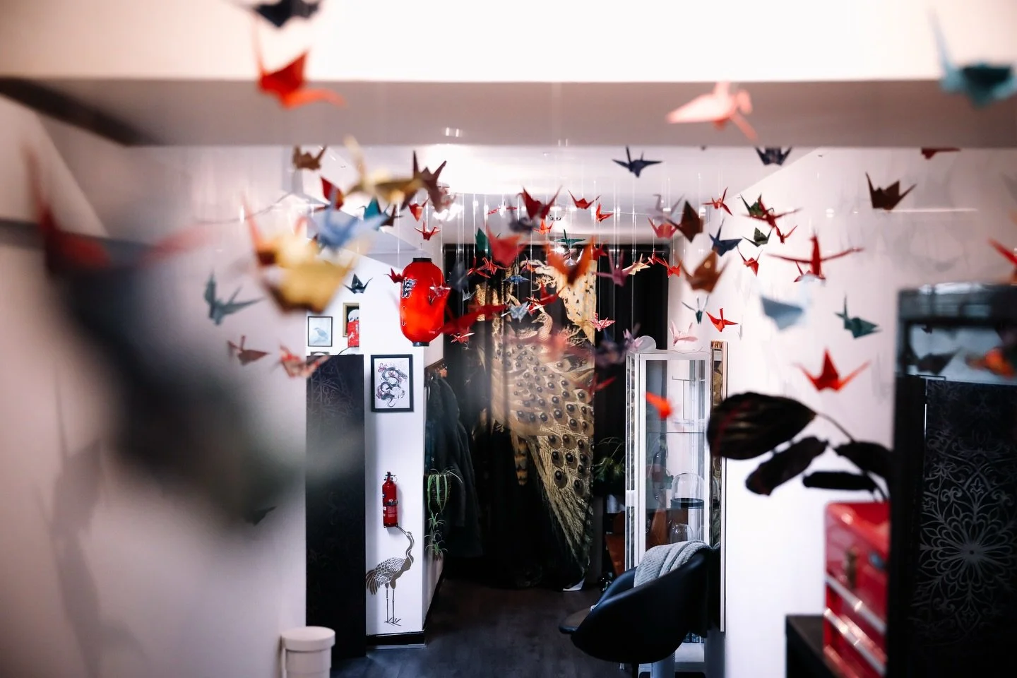 📍 66 Osmaston Road , Derby , De1 2hz 

Good morning from Young Cardinal 

Not just tattoos.

Travel, research, process.
Guest artists.
Workshops.
Conventions.
Open doors.

9 years in. Year 10 ahead.

Let&rsquo;s goo 

#derbytattoo
#uktattooartist
#b