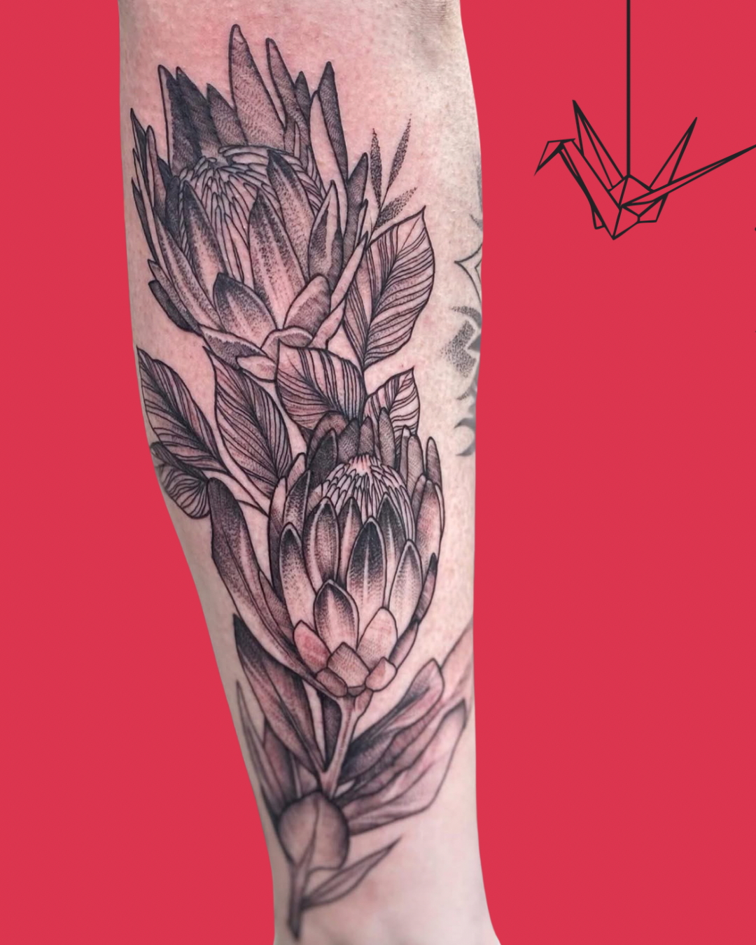 Red and black insta post - 2.png