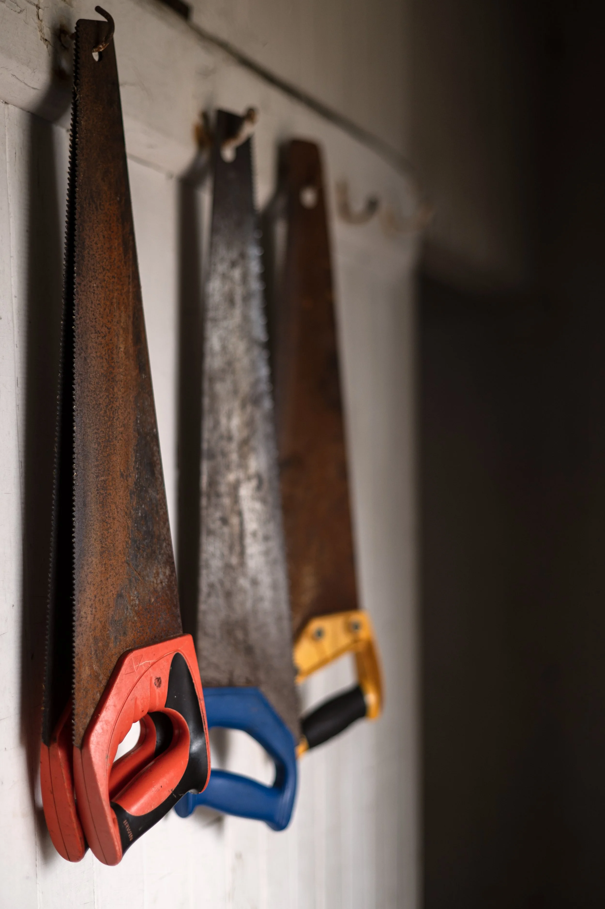 Z62_4603-Edit.JPG