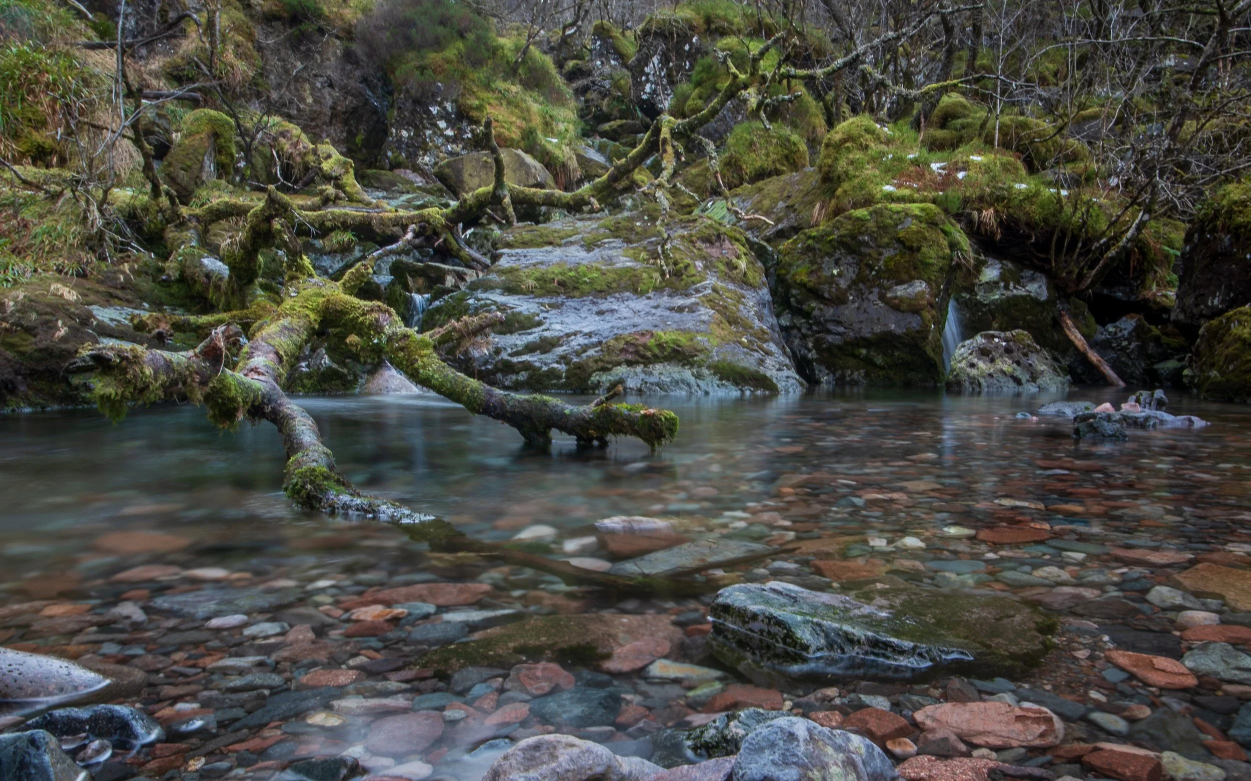 Z62_3418.JPG
