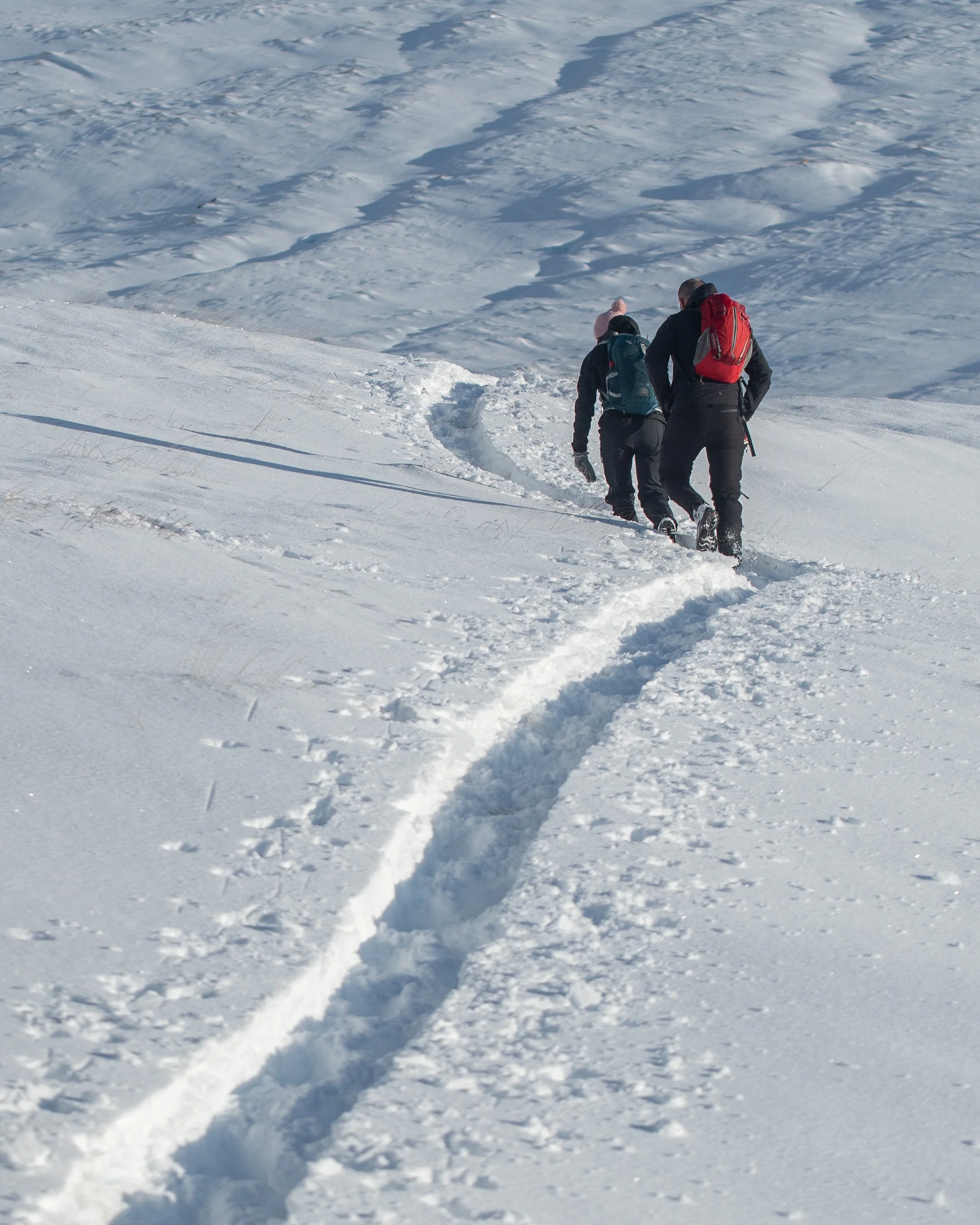 Z62_3520.JPG