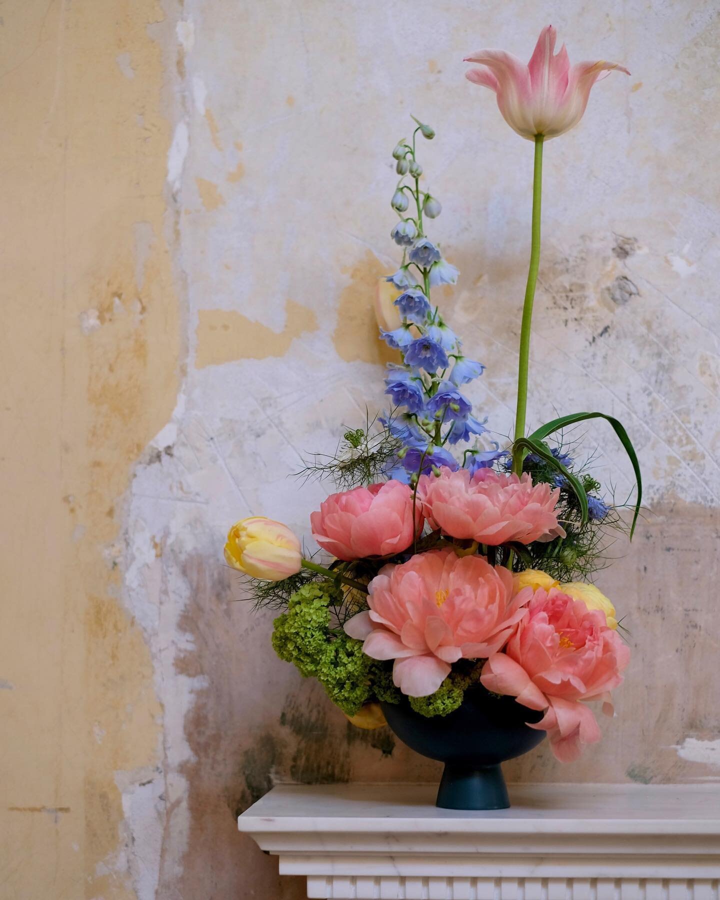 Bowl arrangement for wedding stylist and planner @posypatou 'Little Oasis' tablescape at the @brash.events wedfair last Saturday. Very inspiring being surrounded by such creative suppliers. Also, obsessed with these plaster walls 🤤 
⠀⠀⠀⠀⠀⠀⠀⠀⠀
Venue 