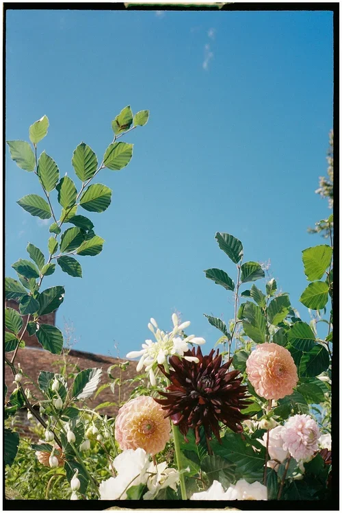 Updown-farmhouse-wedding-flowers-august.webp