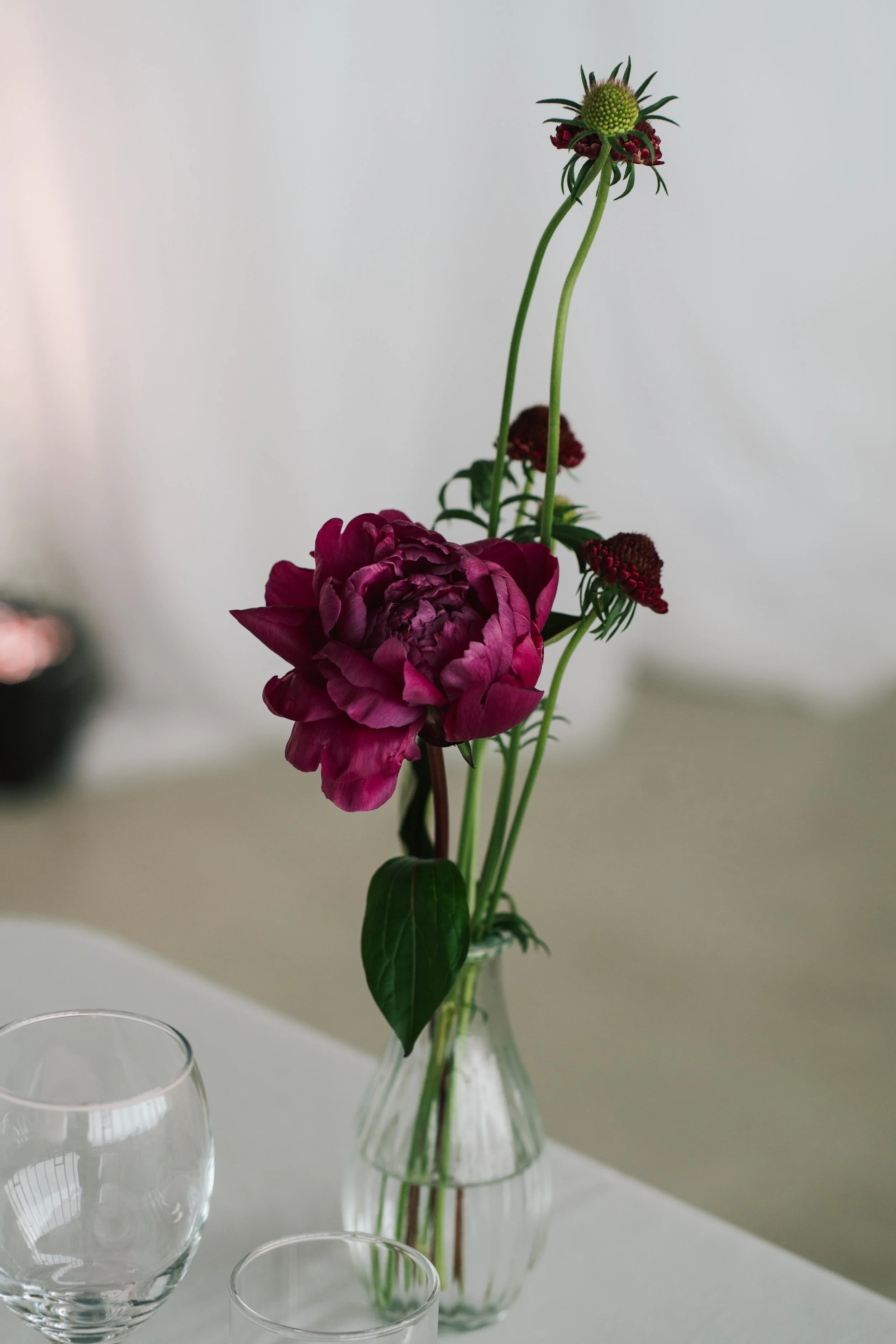 Turner-Contemporary-wedding-flowers-reception-peony.jpg