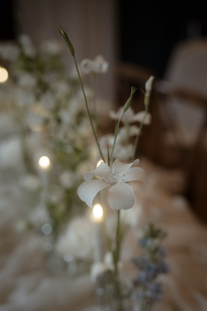 ark-cliftonville-wedding-margate-kent-reception-details-12.webp