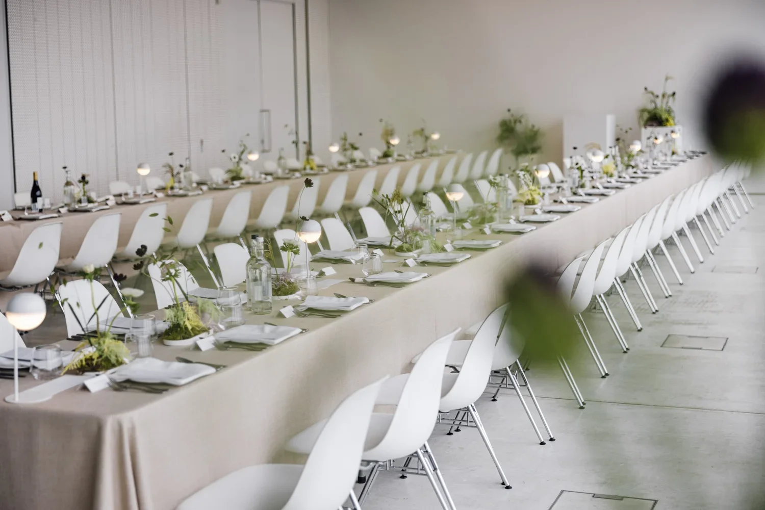 Bridget Reily exhibition opening & press lunch at the Turner Contemporary