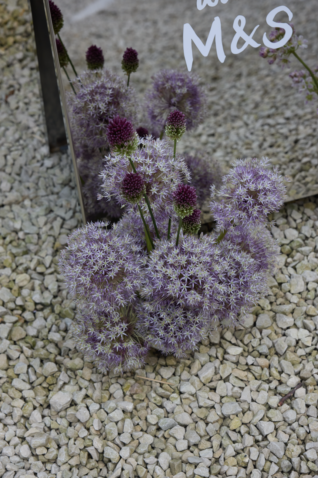 Screenshot 2026-02-06 at 18.38.04.png