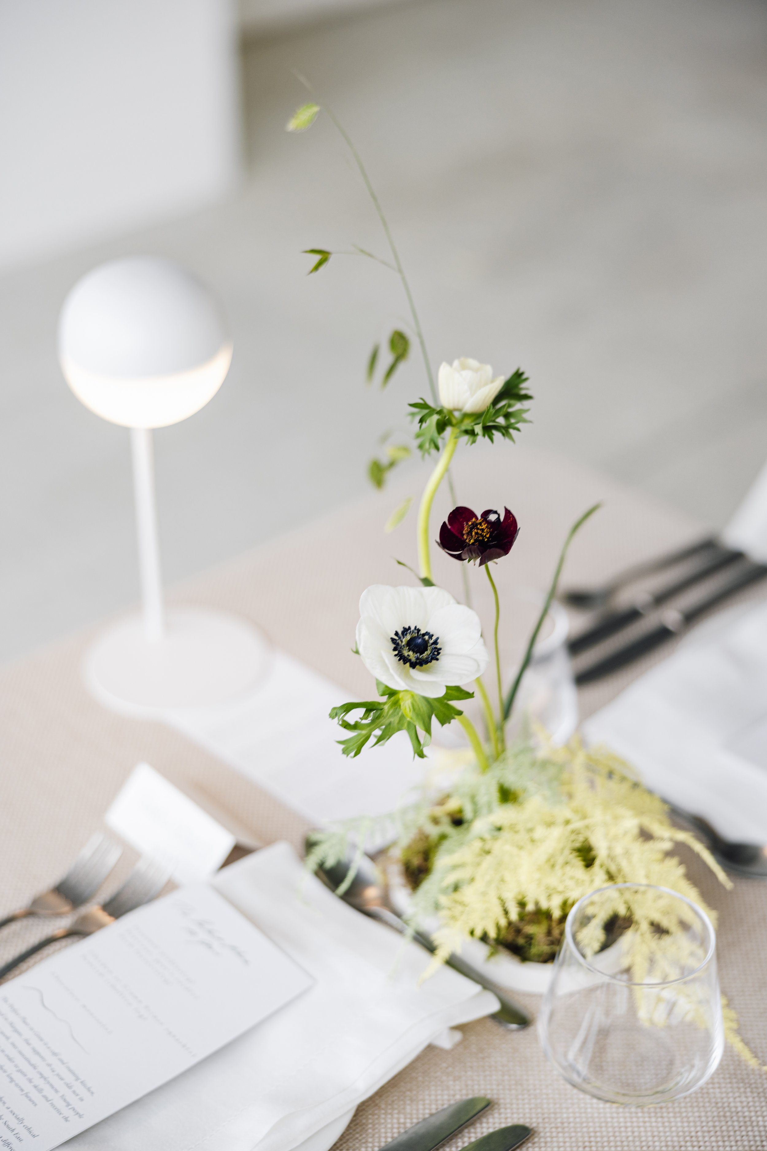 TURNER BRIGET RILEY OPENING-IMG_2179.jpg