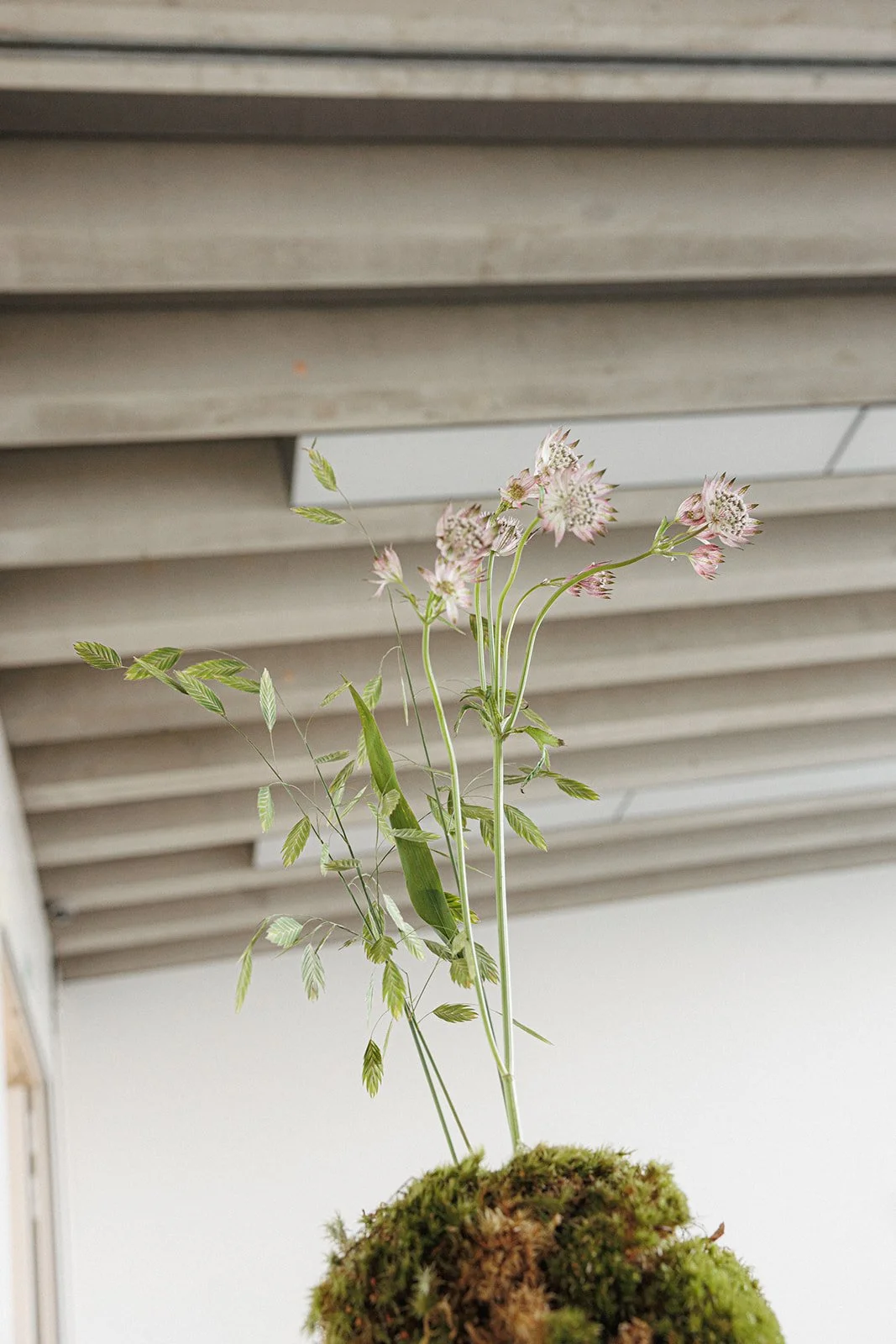 7 Turner Press Event-23.jpg