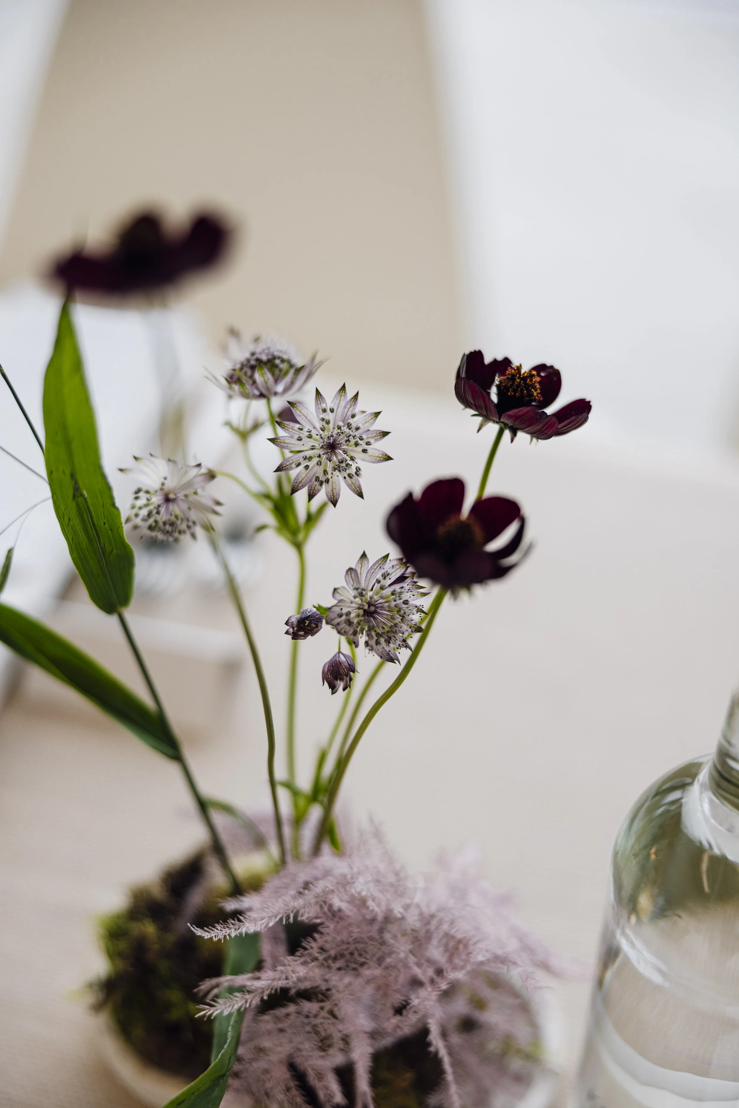 TURNER BRIGET RILEY OPENING-IMG_2187.jpg